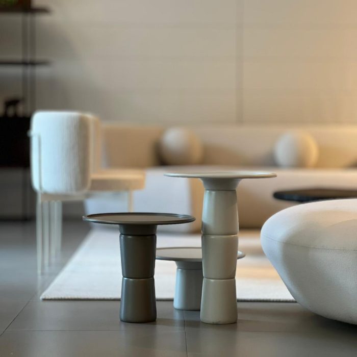 MESA_LATERAL_CAPSULA