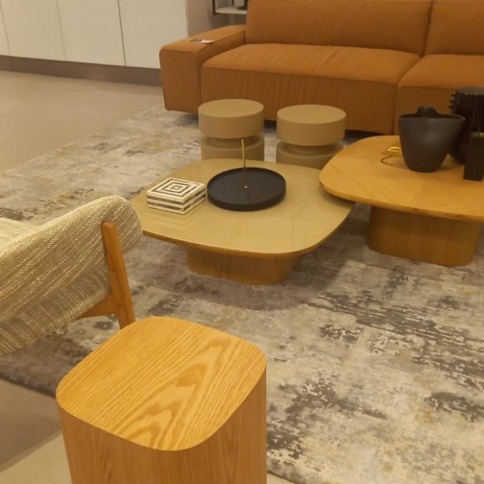 Mesa de Centro Tronco (19)