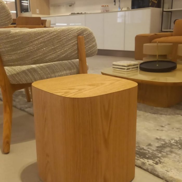 Mesa de Centro Tronco (20)